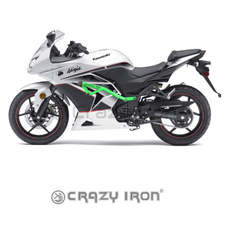 CRAZY IRON  Race Rail KAWASAKI Ninja 250R `08-`12 (фото 2, фотография 2)