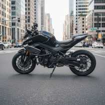 CRAZY IRON Cage PRO CFMOTO 800NK
