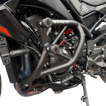 CRAZY IRON Cage PRO KAWASAKI Z H2