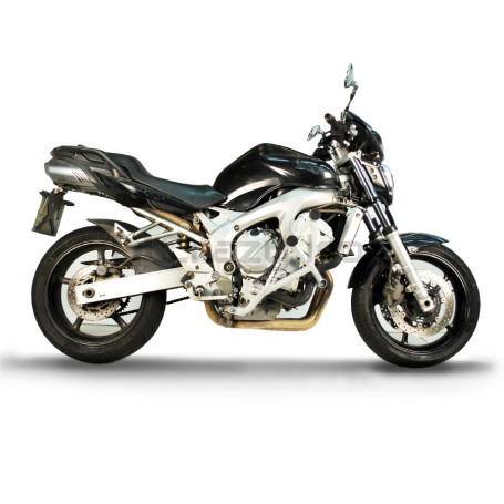 CRAZY IRON Cage DAMPER YAMAHA FZ6S, FZ6N `04-`09 (фото 1, фотография 1)
